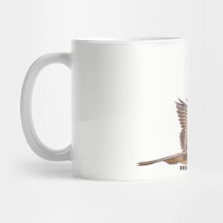 Brown Falcon_01C Mug